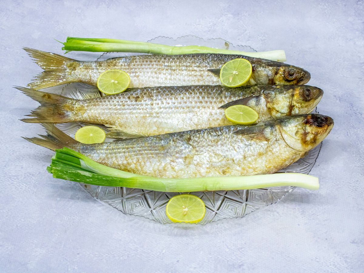 Kilo Fisikh