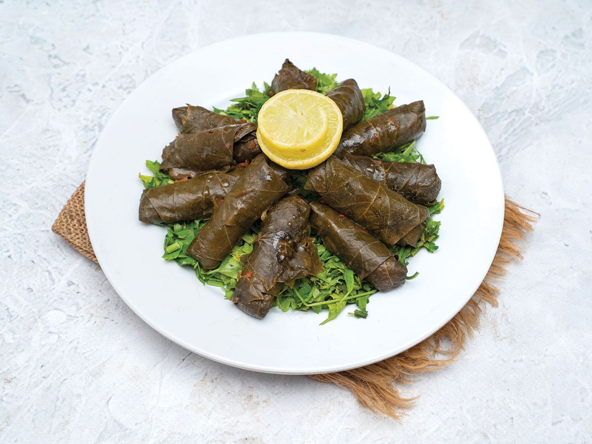 Vine Leaves