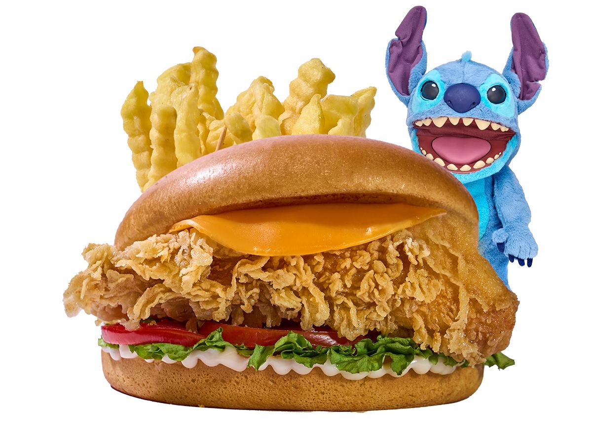 Small Chicken Meal With Toy