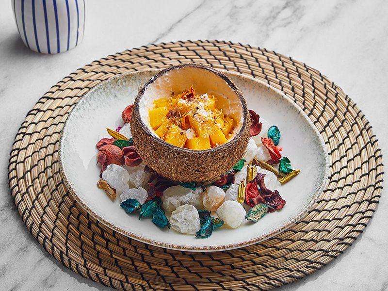 COCONUT MOLD