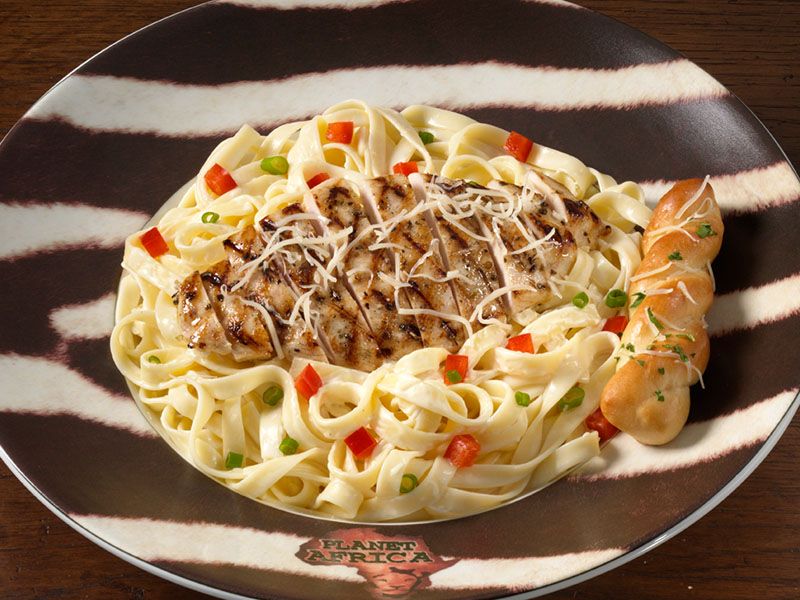 Chicken Alfredo Pasta