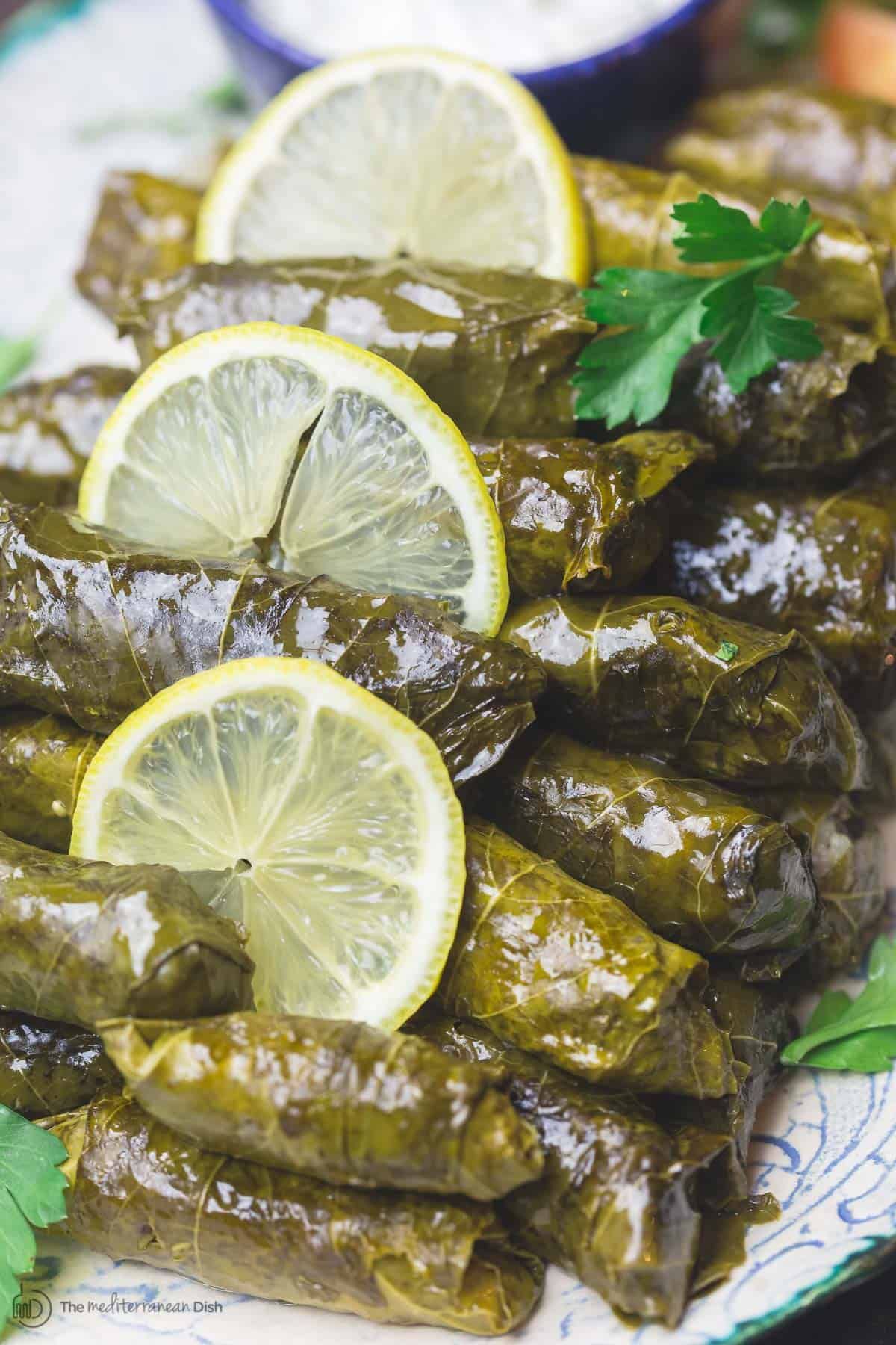 Cold Vine Leaves