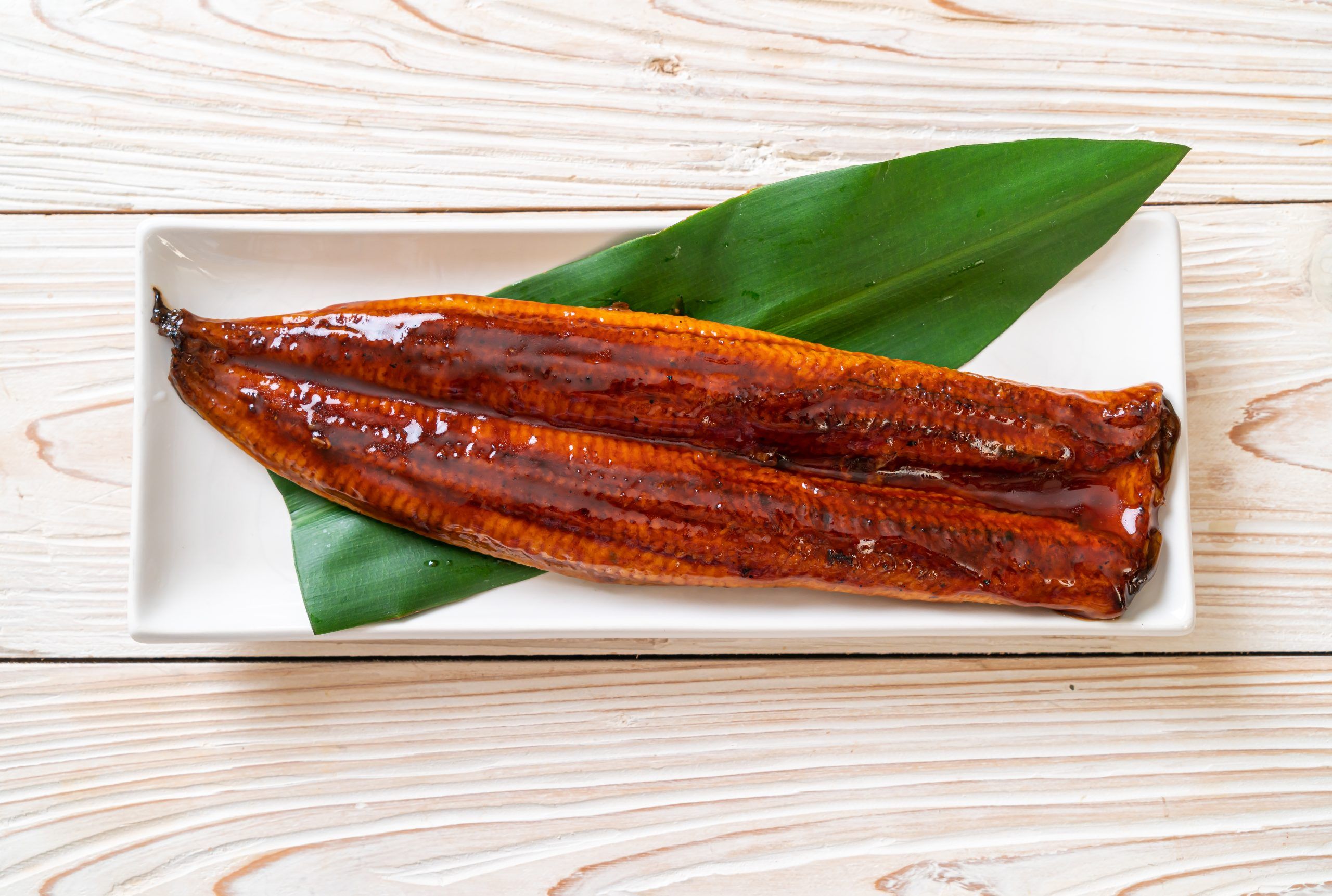 Eel