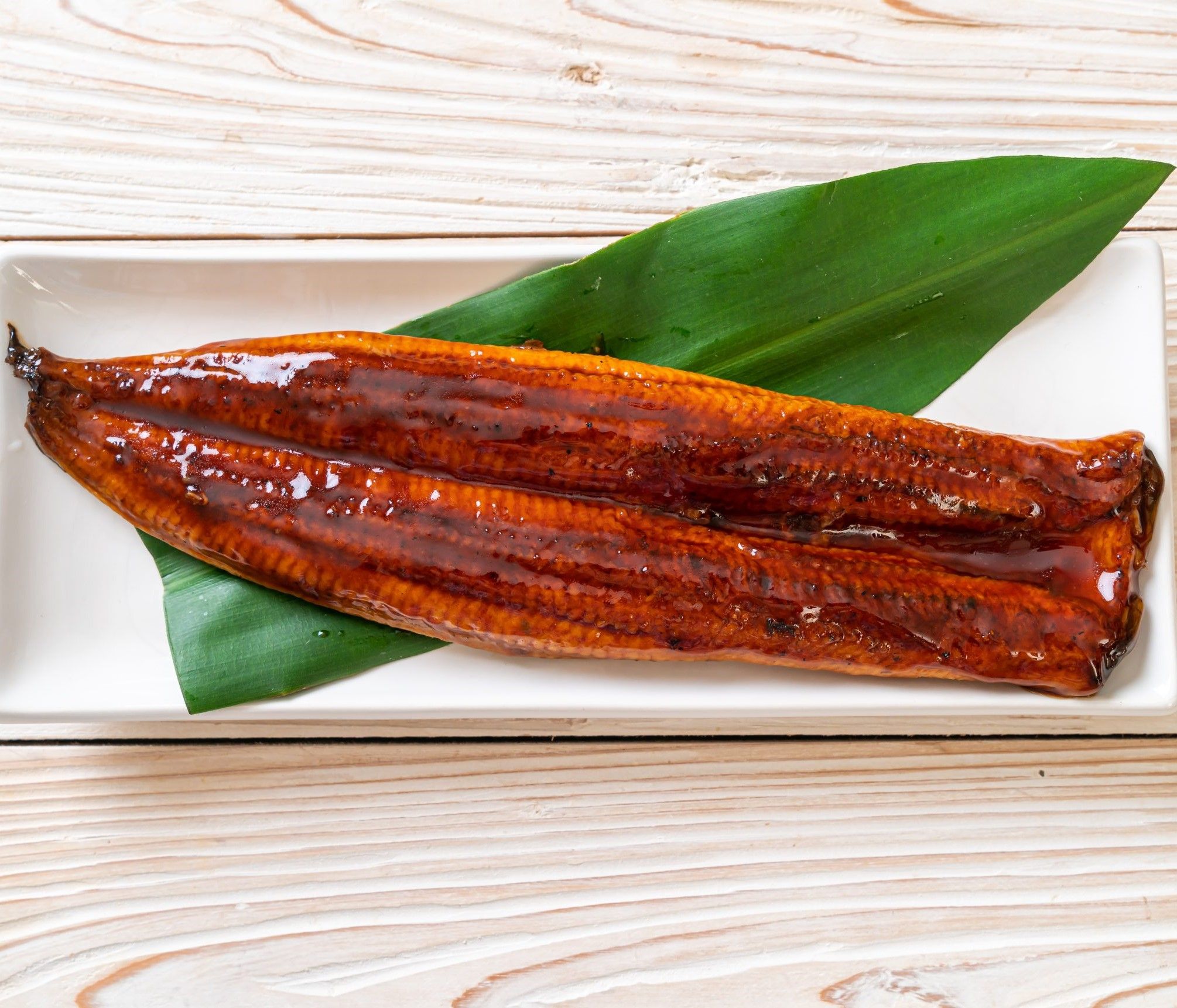 Eel Fish