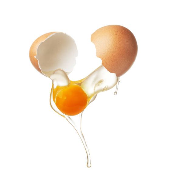 Egg