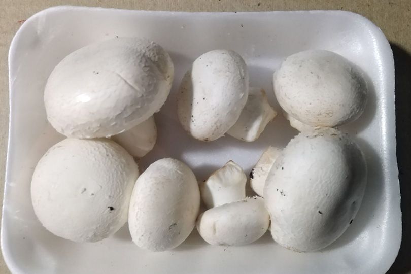 Mushrooms