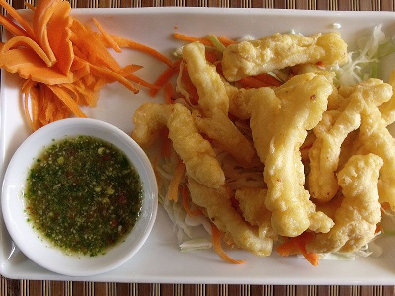 Fried Calamari