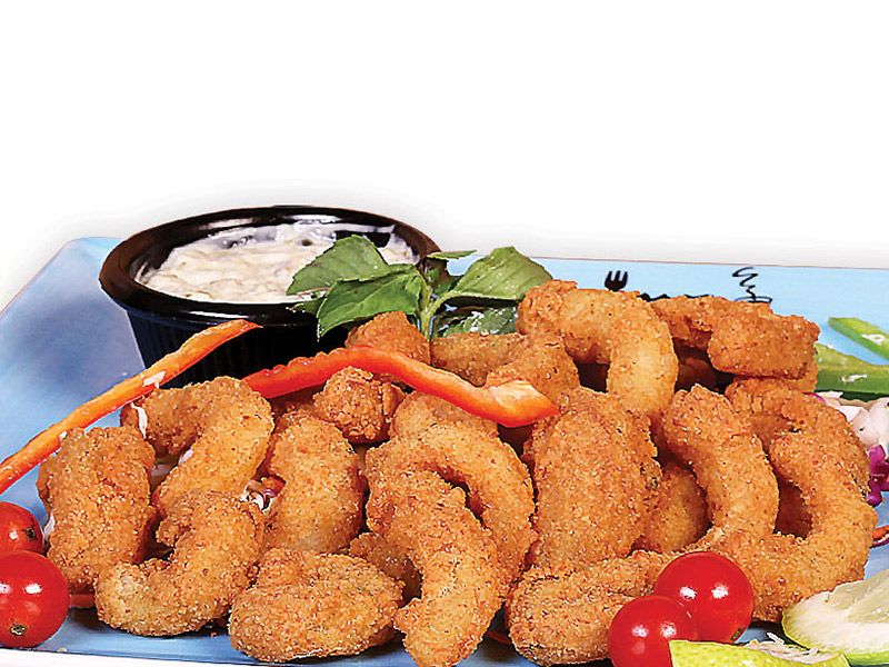 Fried Calamari