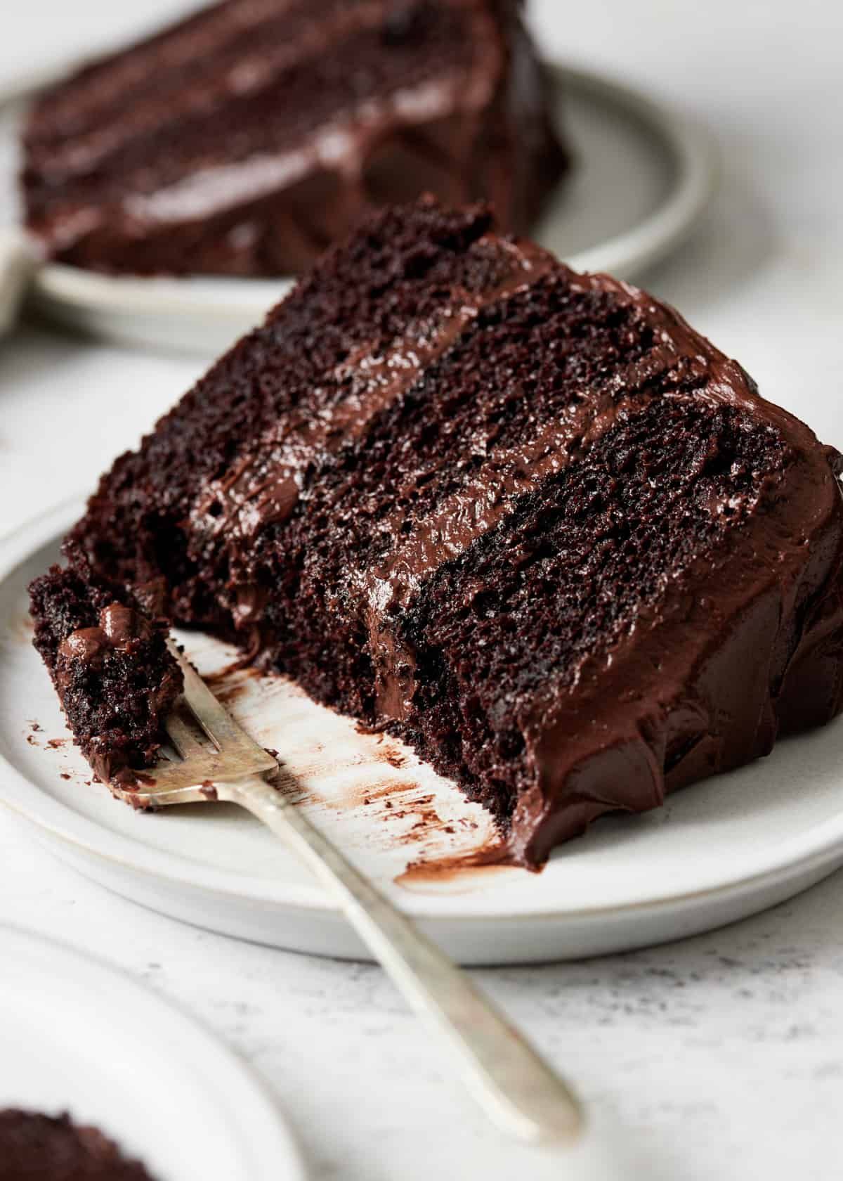 Dr. Chocolate Fudge Cake