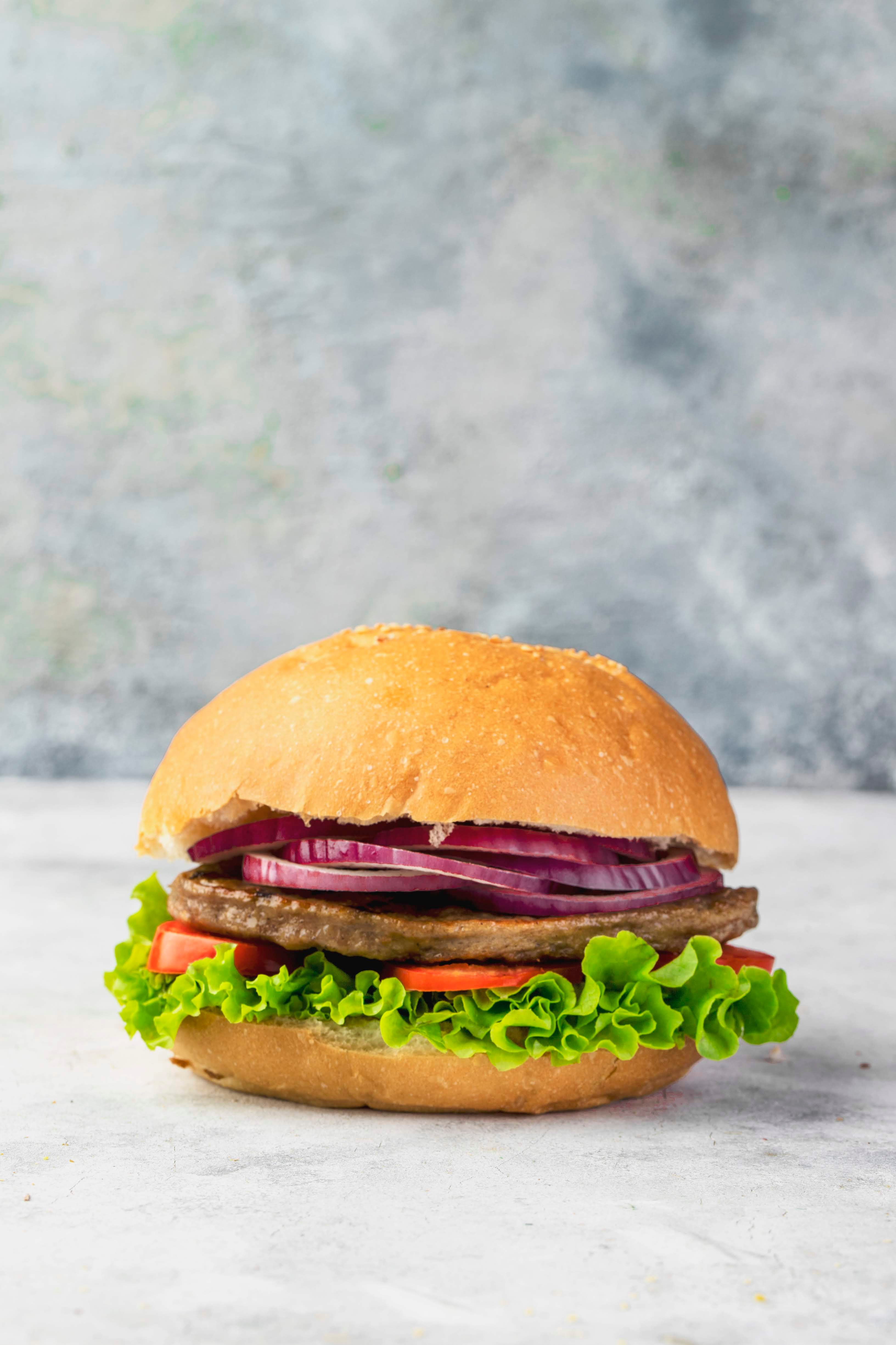 Plain beef burger sandwich