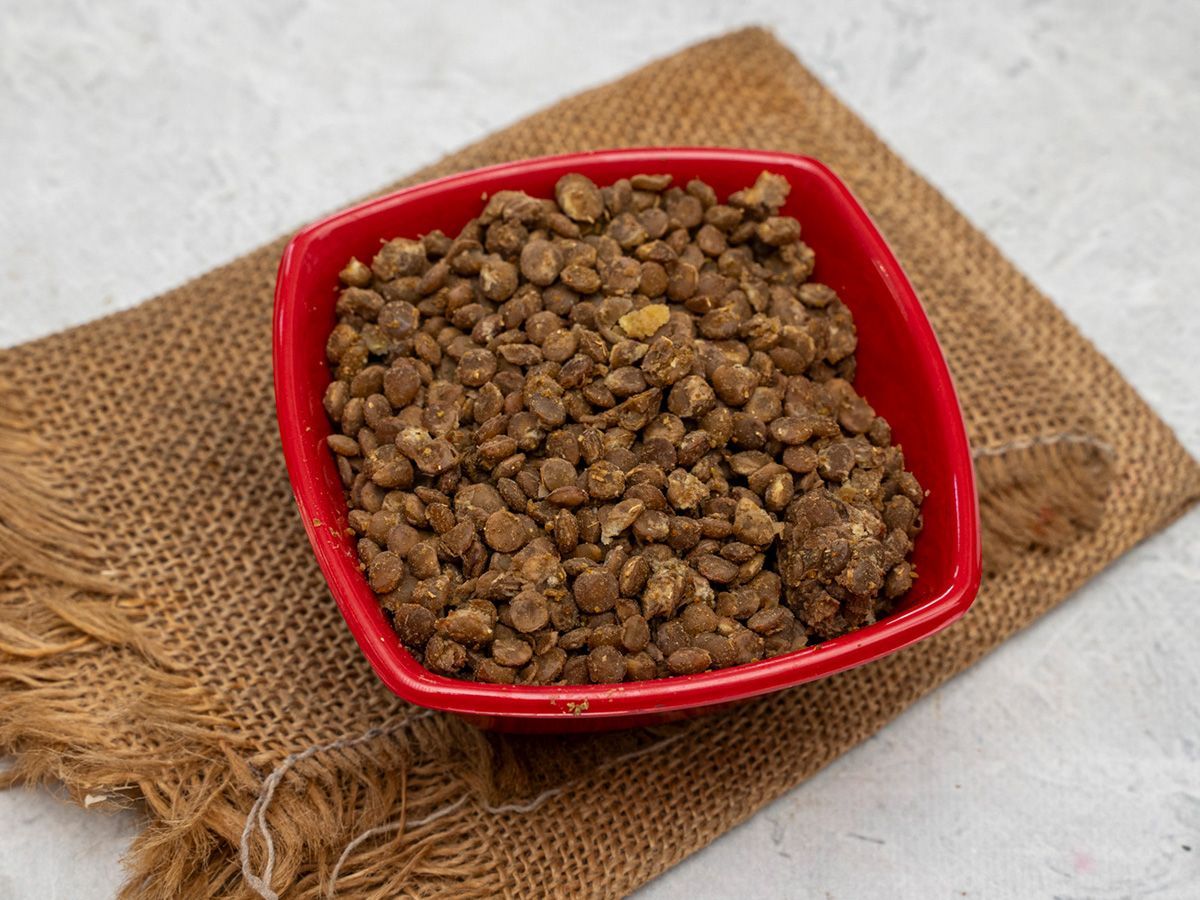 Lentil