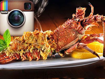 Lobster