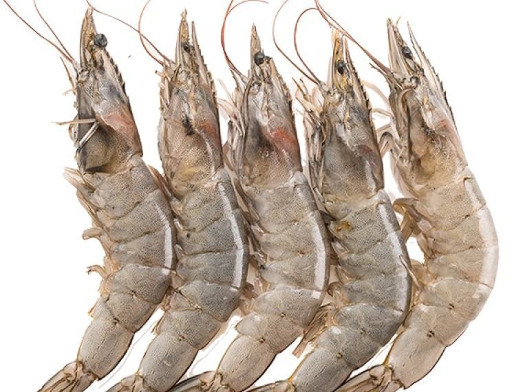 Unpeeled Shrimp Large