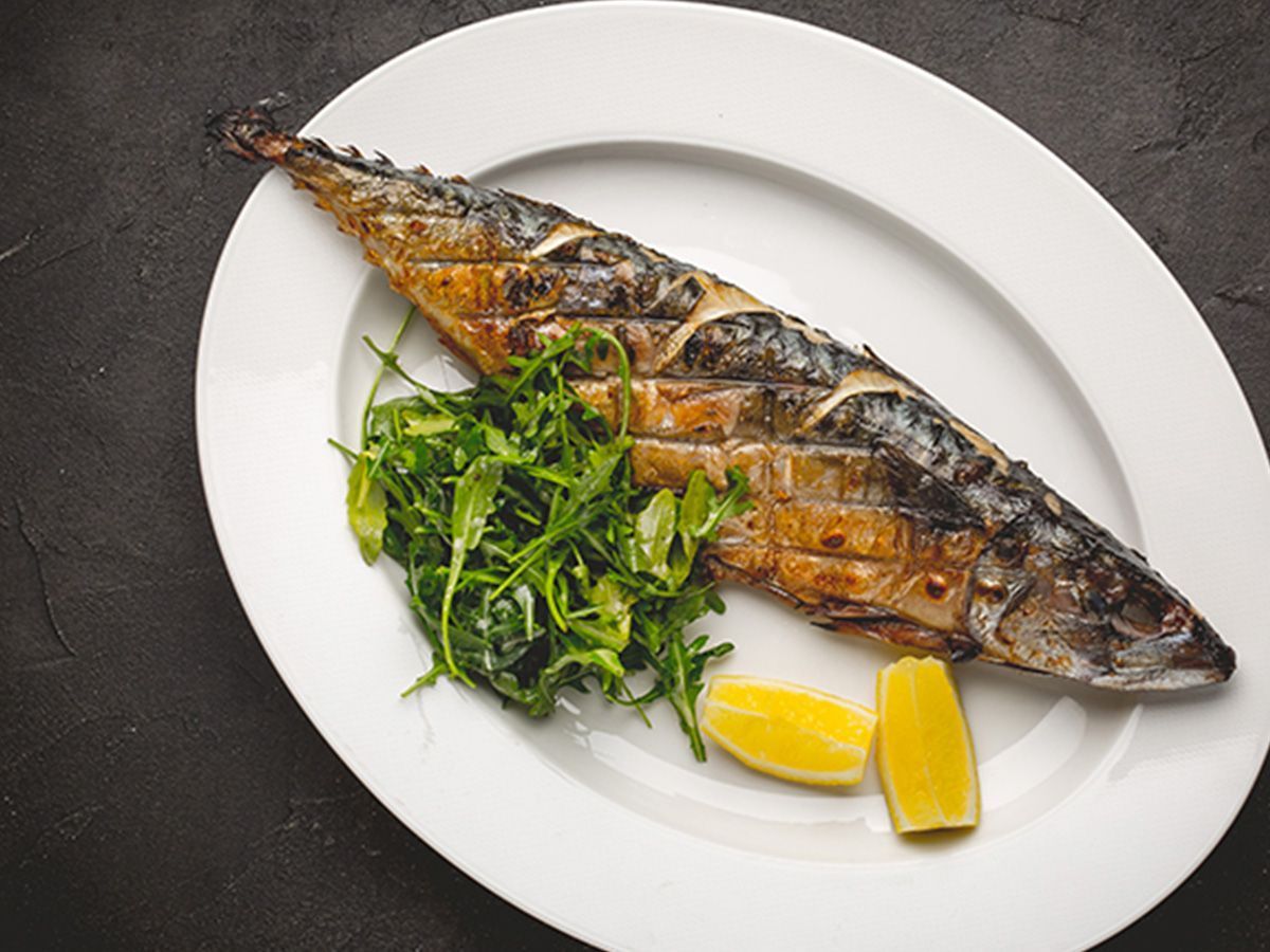 Mackerel meal