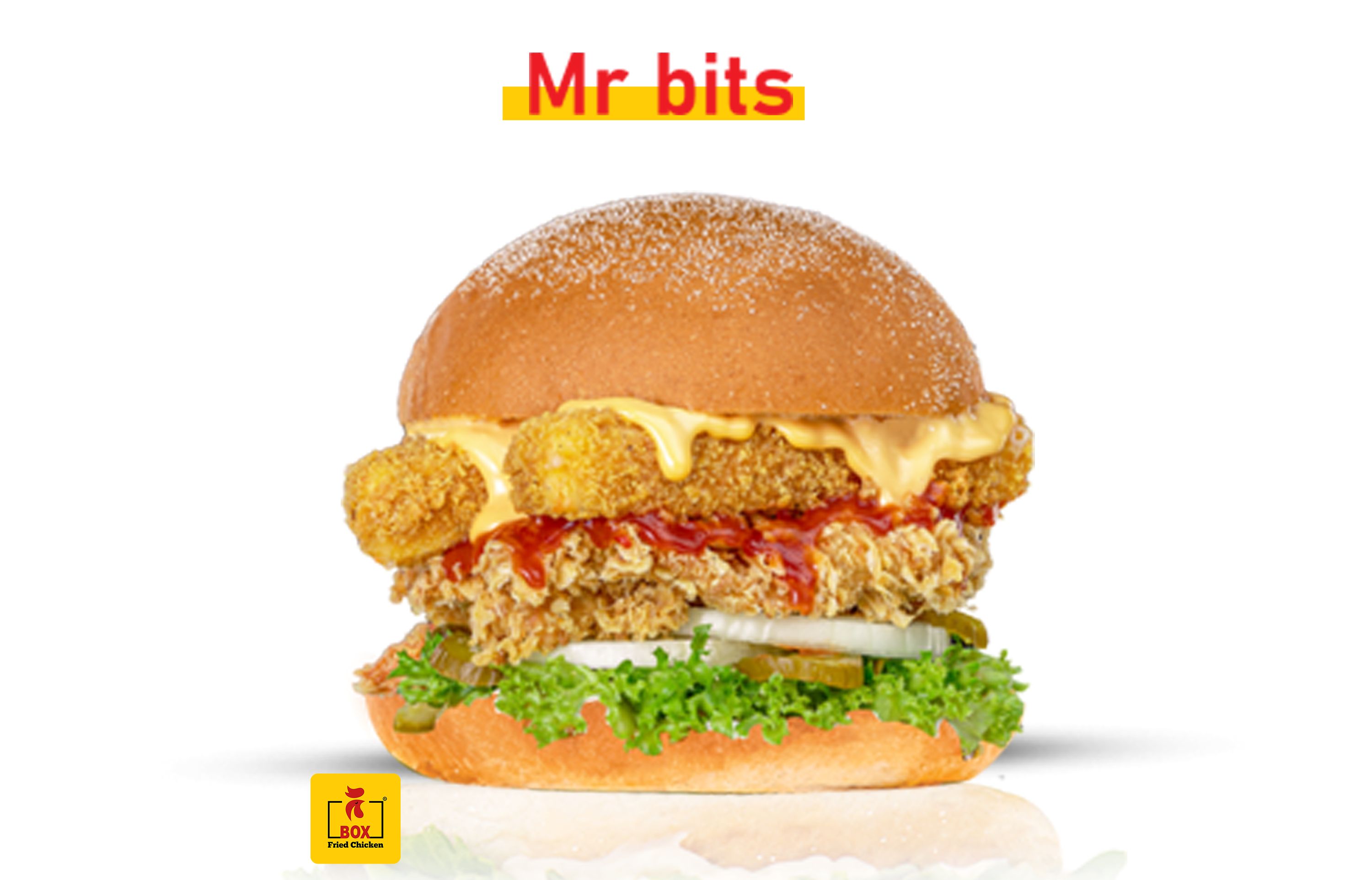 Mr Bits