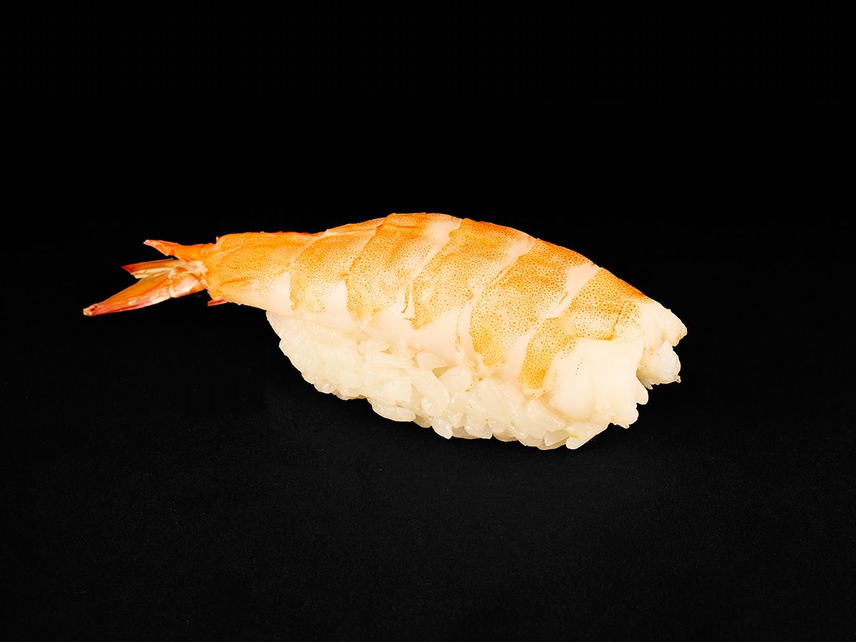 Shrimp Nigiri