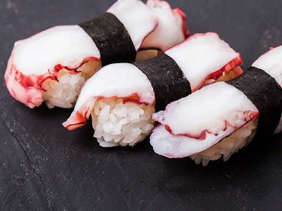 Octopus Tako