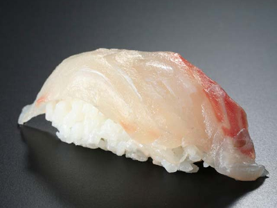 White Fish Suzuki