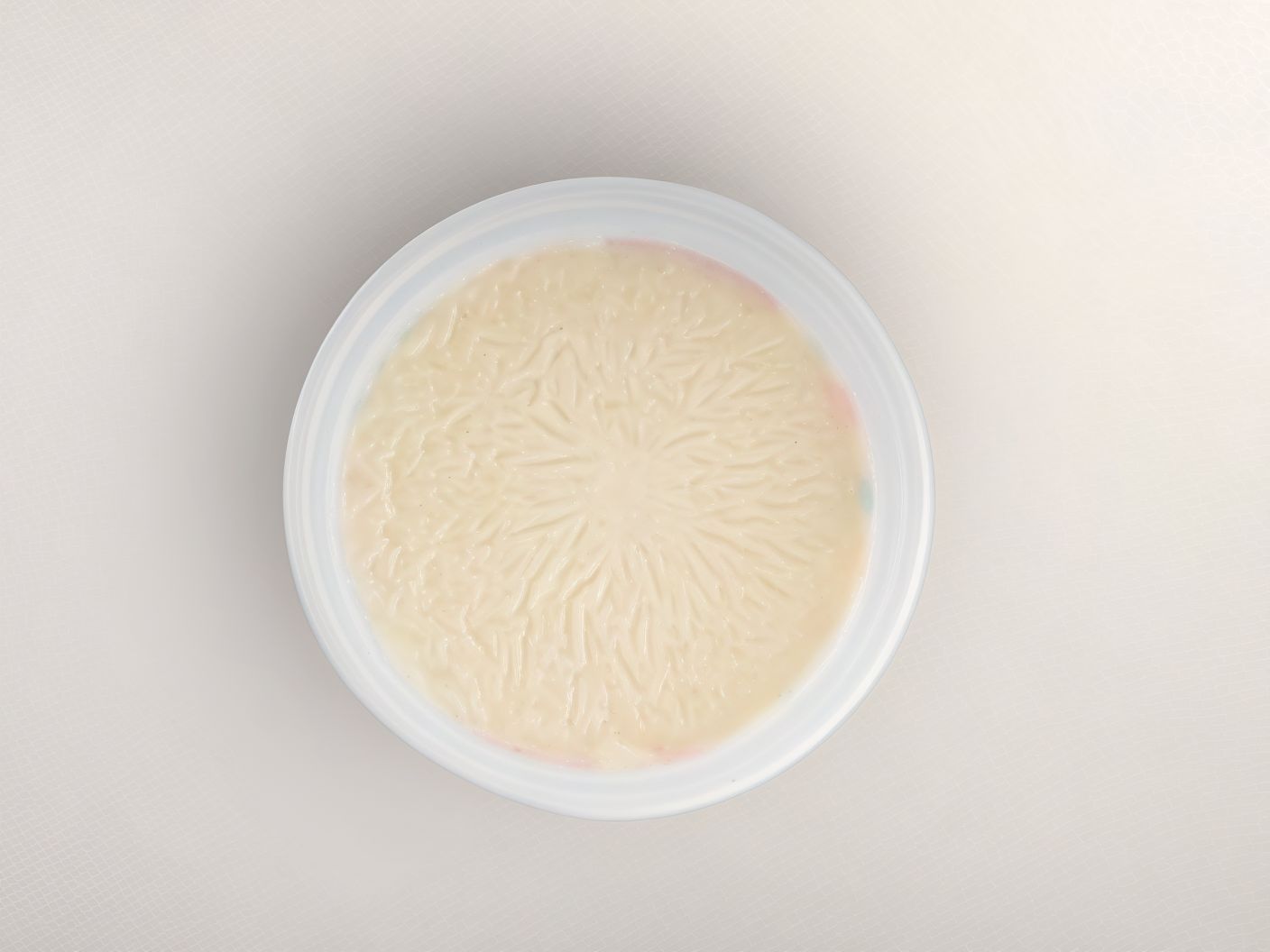 Regular Rice Pudding