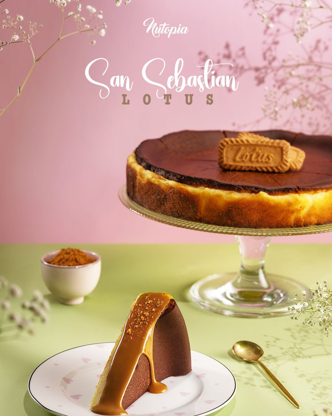 San Sebastian Slice