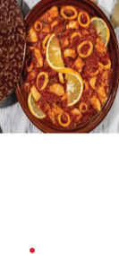 Squid Meal