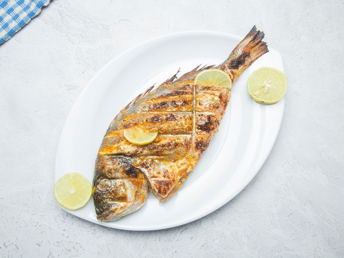 Gilthead Bream