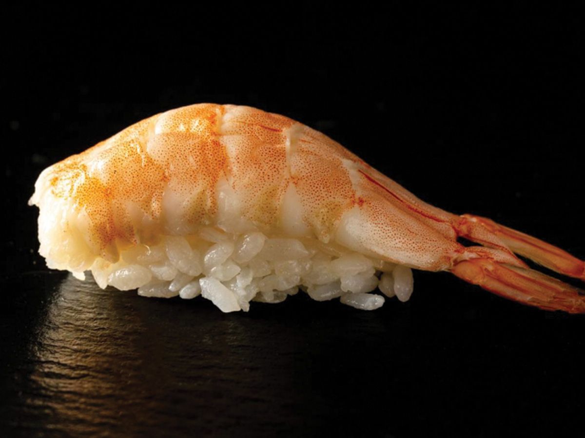 Shrimp Nigiri