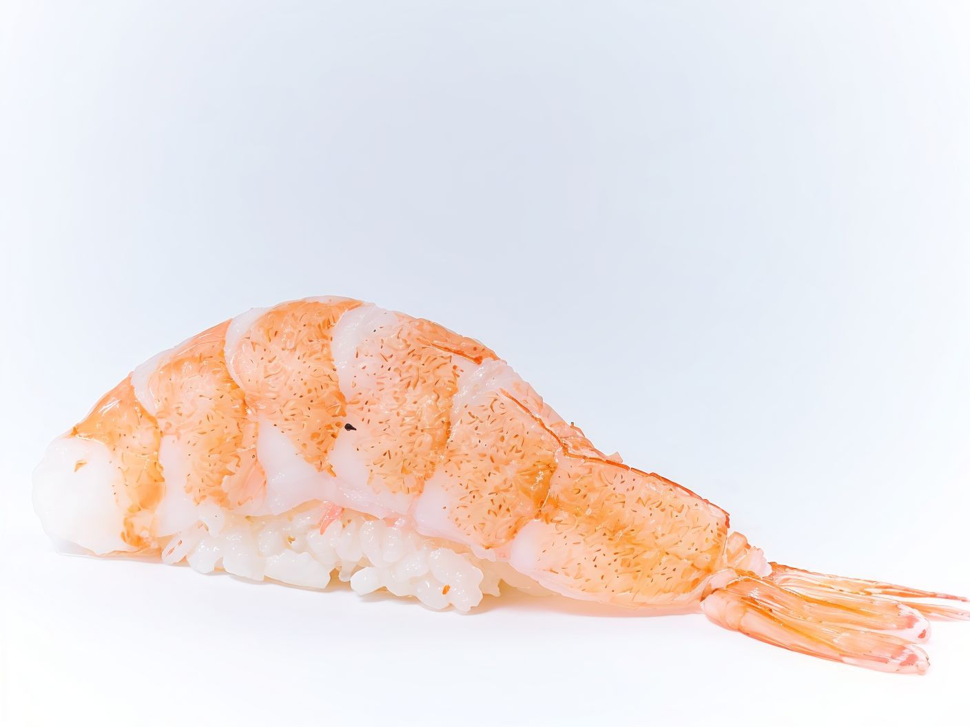 Nigiri Special Shrimp
