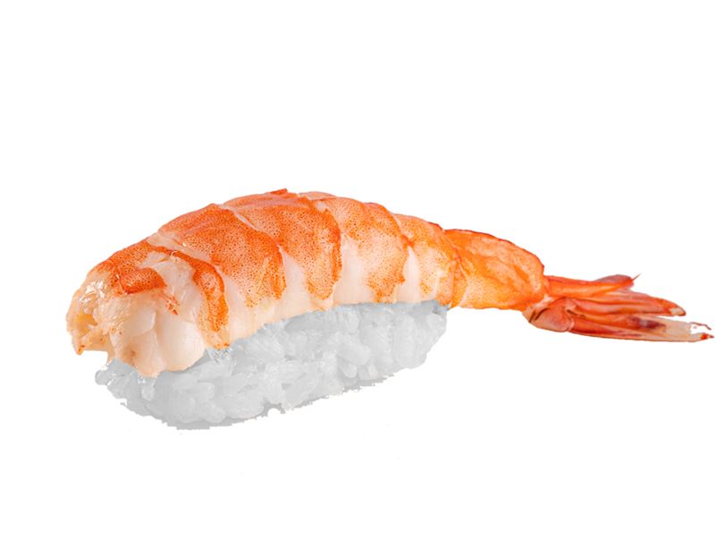 Shrimp Nigiri