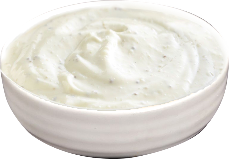 Garlic Dip Sauce