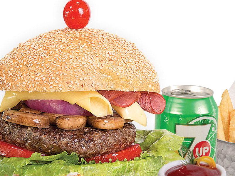 Spectra Burger Sandwich