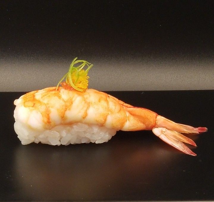 Phili Tiger Nigiri