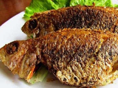 Tilapia