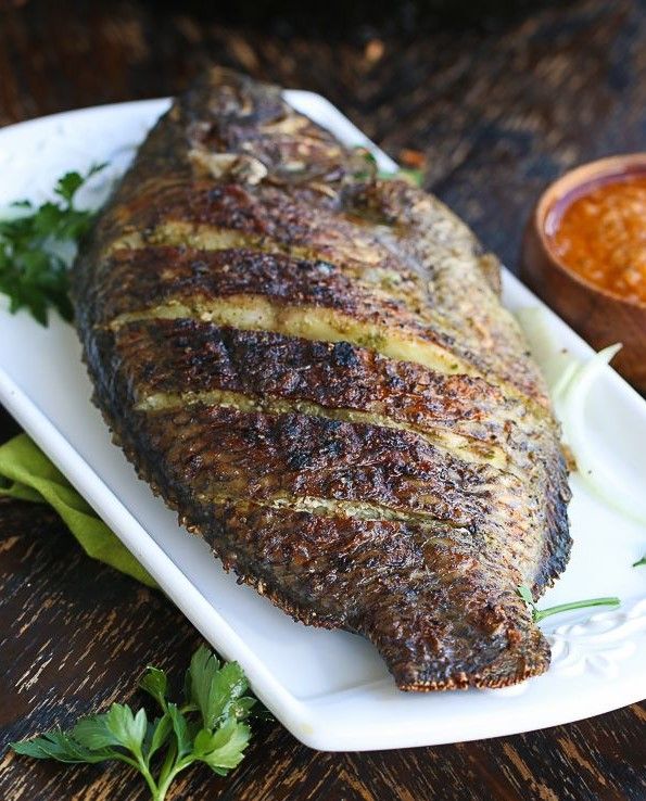 Tilapia Fish