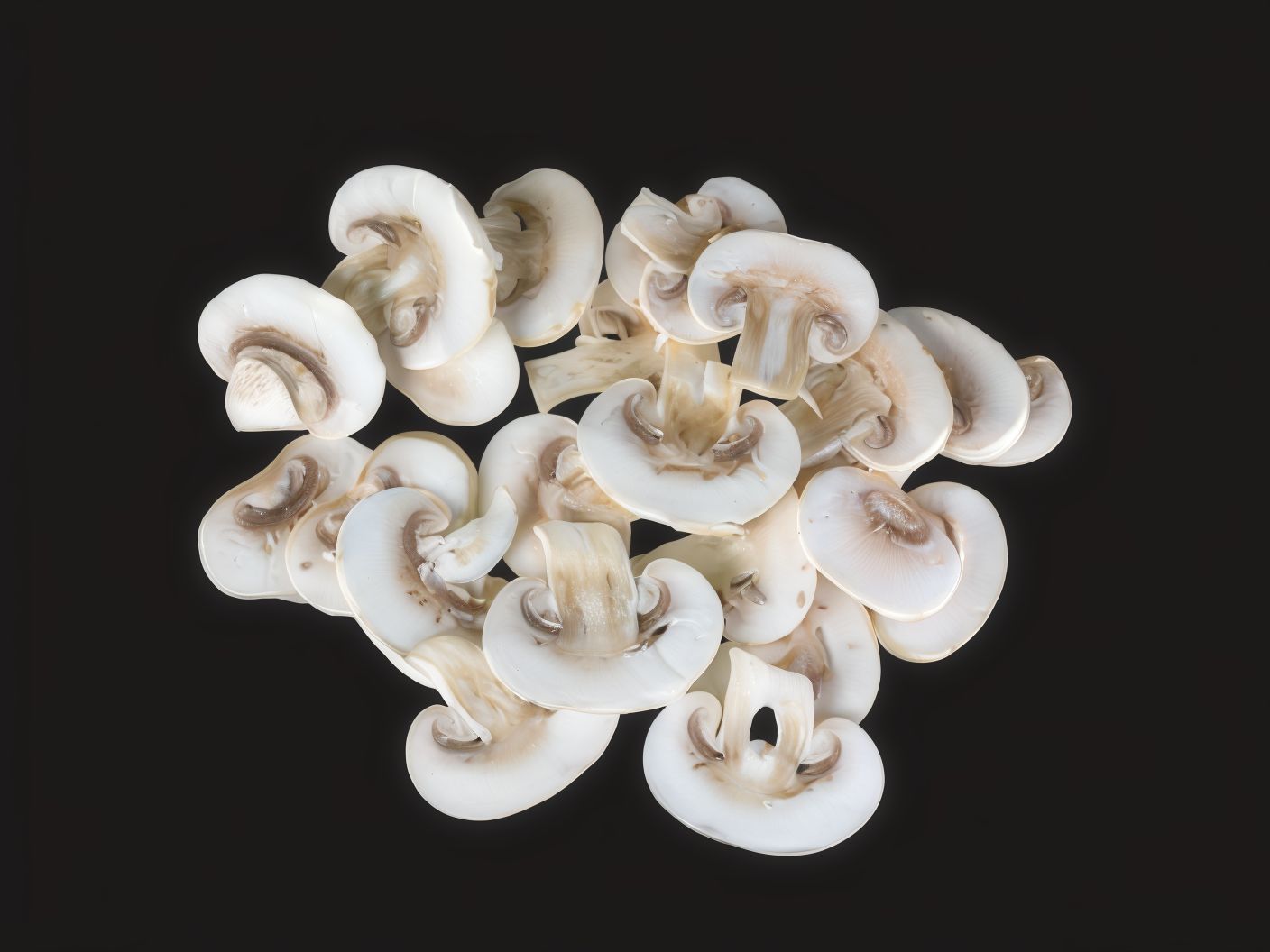 Mushroom