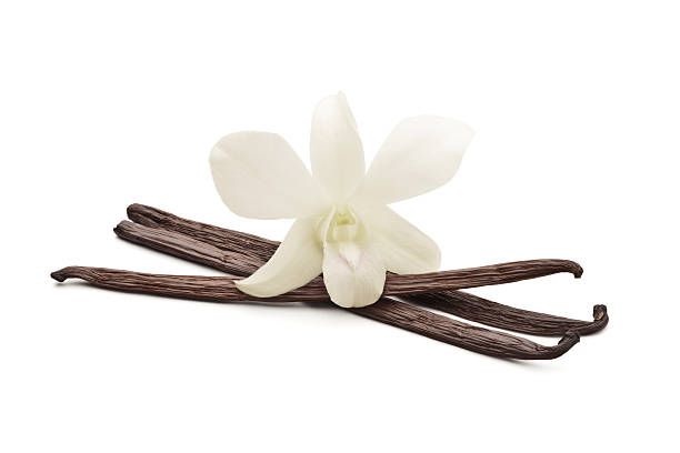 Vanilla