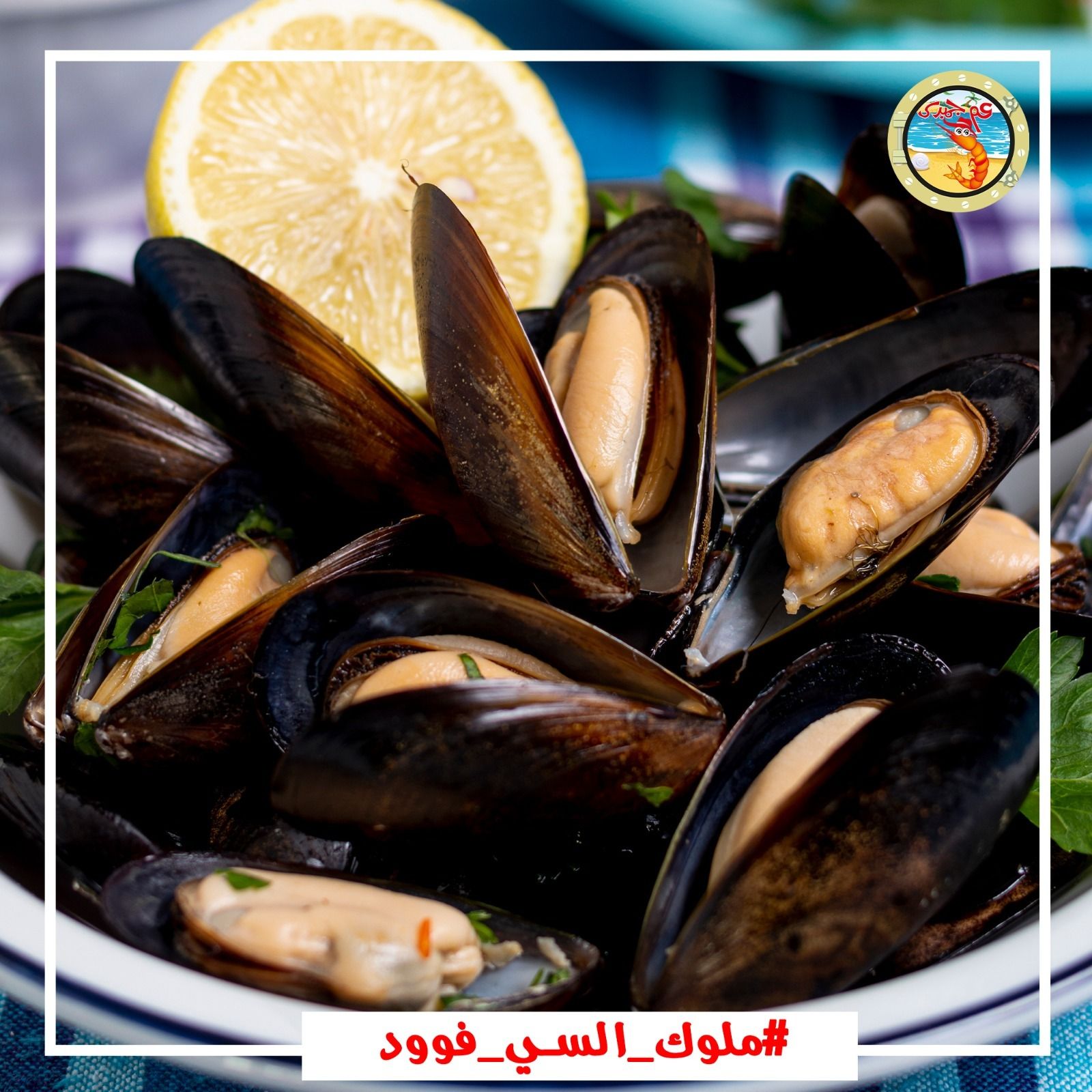 Mussels Kilo