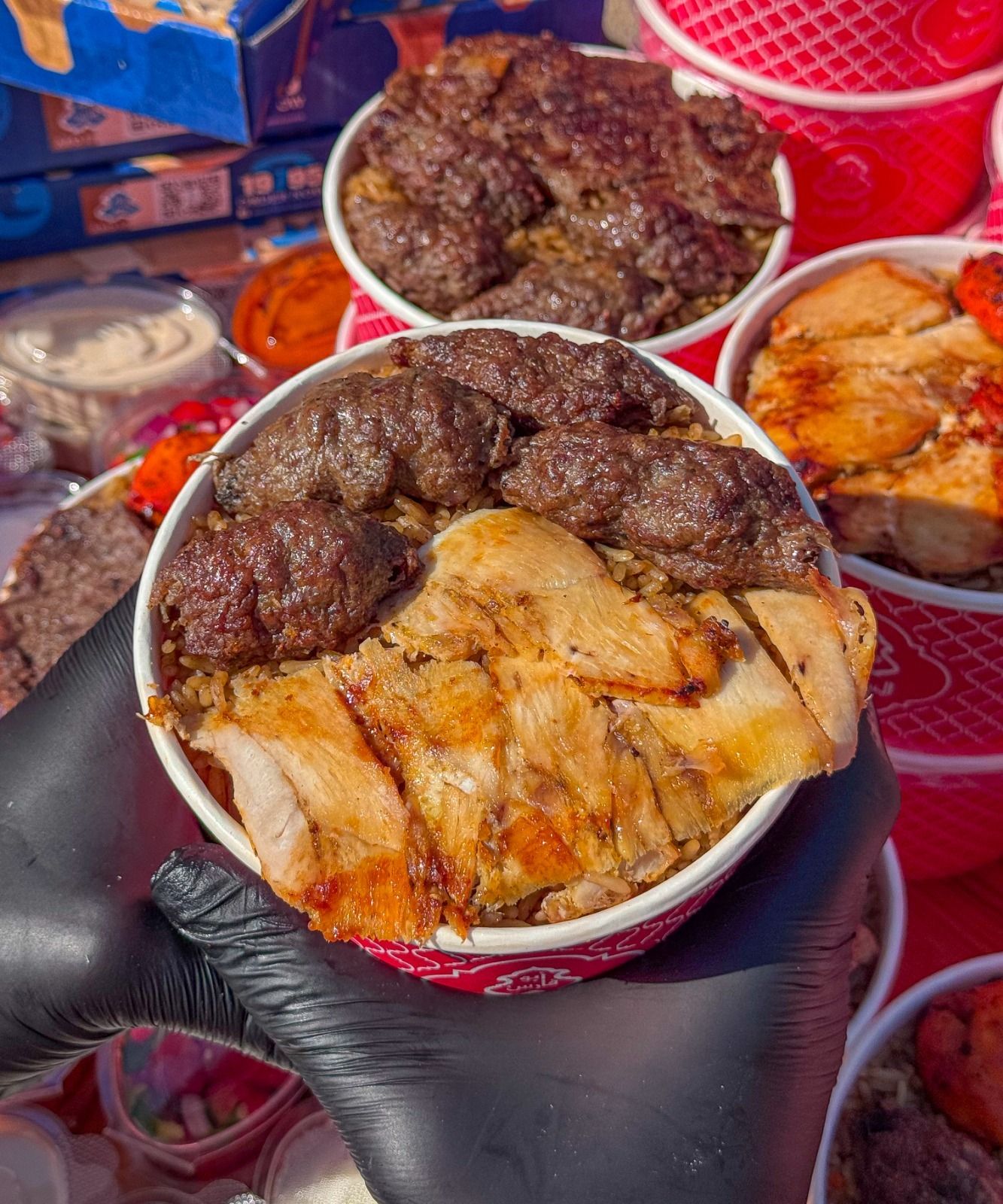 Rajraj Kofta & Shawerma Chicken