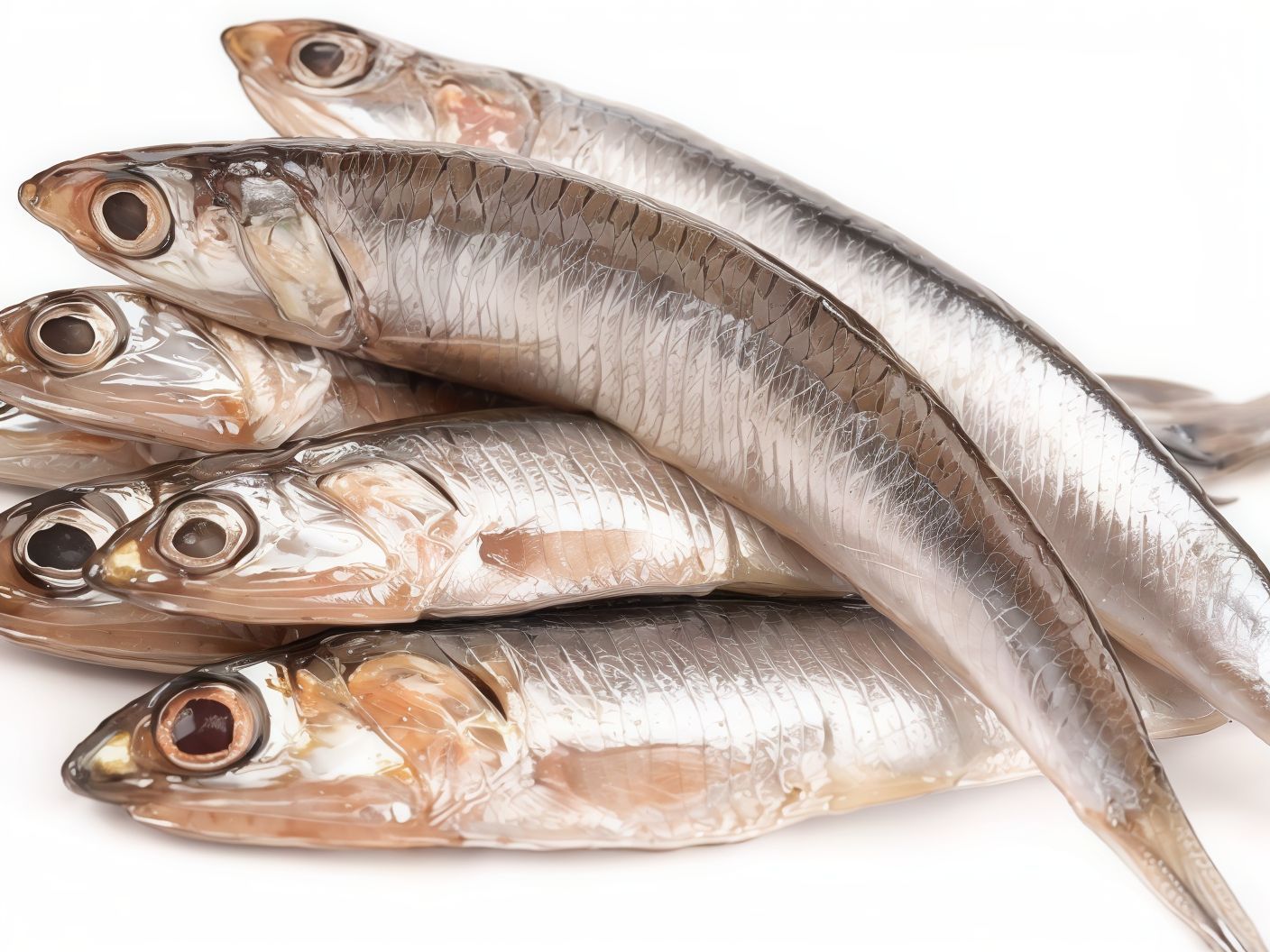 Anchovies