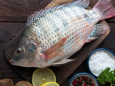 Family Tilapia Fish Meal