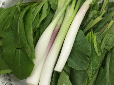 Arugula And Green Onion Platter