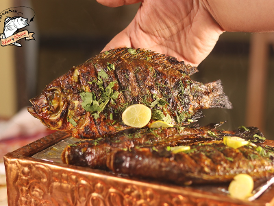 Tilapia Fish