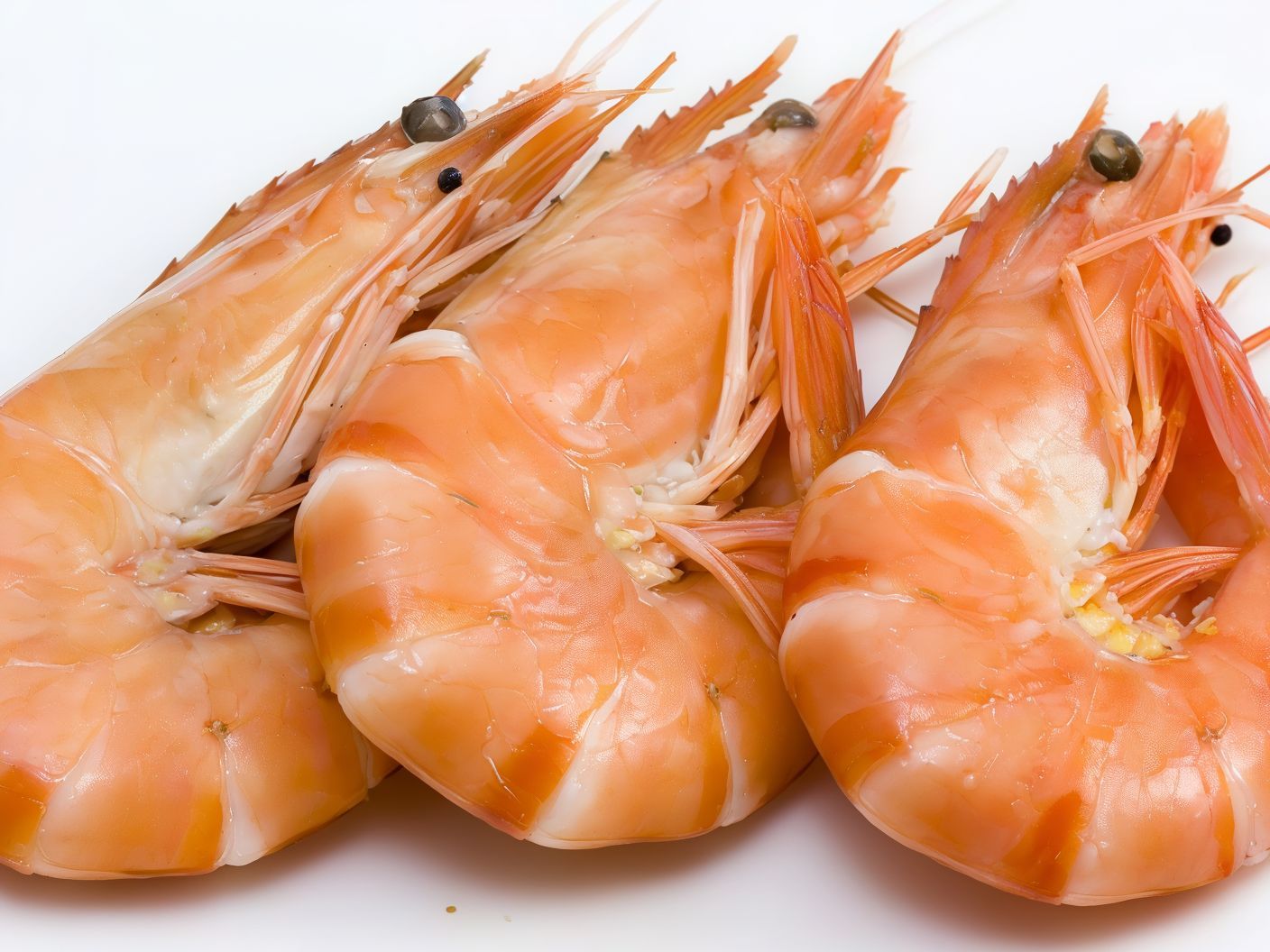 Shrimp With Peels Meal