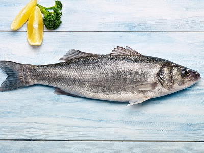 Croaker Fish