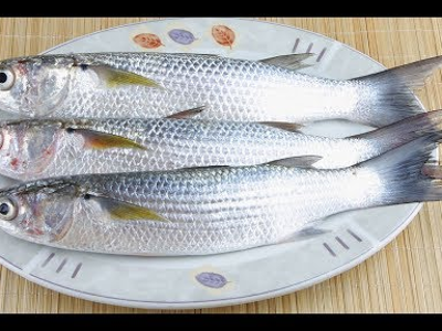 Bouri Fish