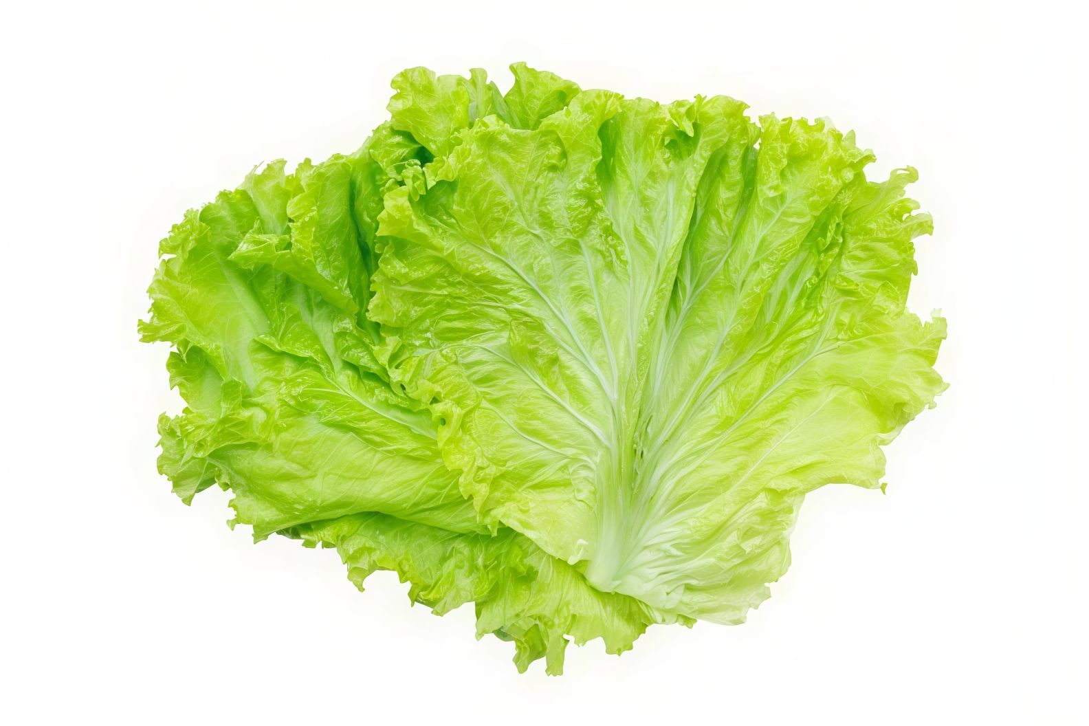 خَسّ