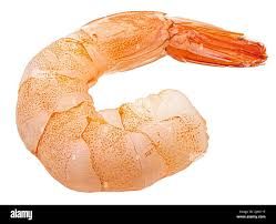 Piece of Shrimp