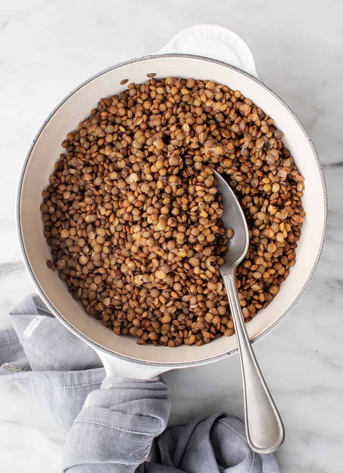 Lentil