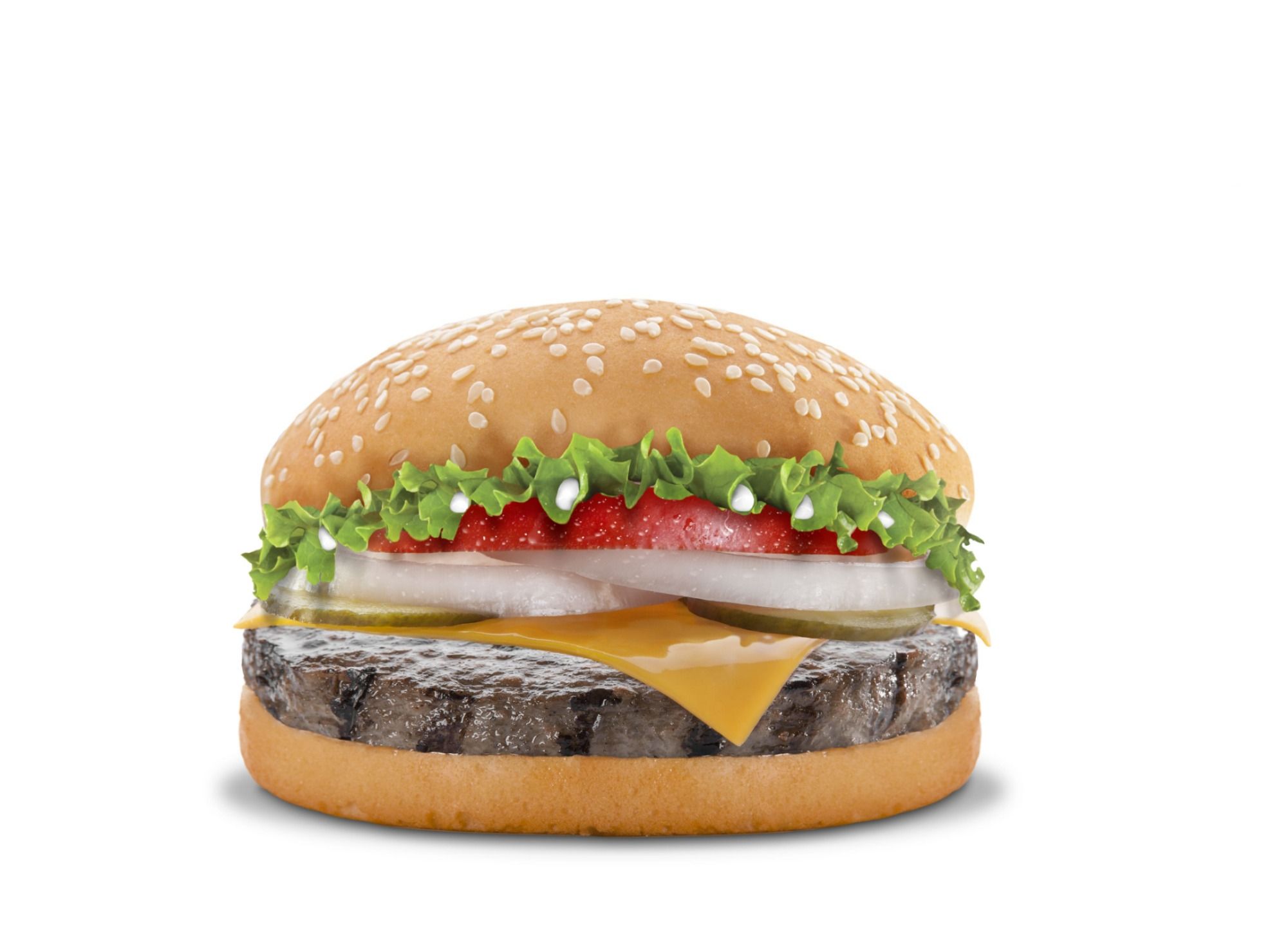 Beef Burger Sandwich