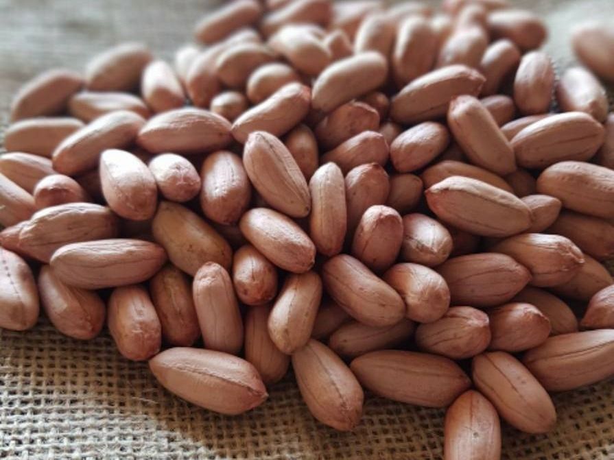 فول سوداني